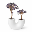 Edelstein-Dekobaum Amethyst